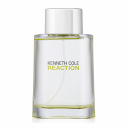 kenneth-cole-reaction-edt-100ml-for-men